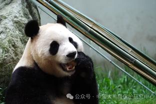 阿尔本与女友在成都参观大熊猫，还展示了特别版头盔涂装？